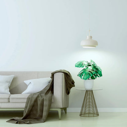 Grow LED Light Bulb for Plants Seeds and Greens with Balanced Light Spectrum, PAR38 Floodlight (1 Pack)